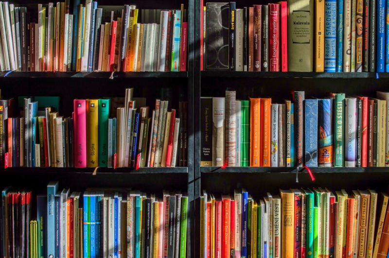 boutique-CUEBRIS-min_books_bookstore_book_reading_shop_writer_sale_books_read-822866